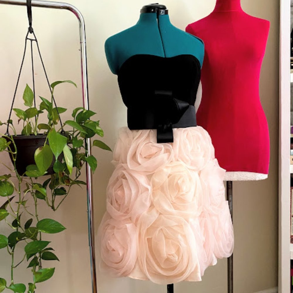 JS Collections dress size 8